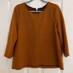 Brown Blouse, zip up on back